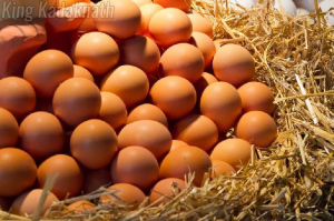 Kadaknath Chicken Egg