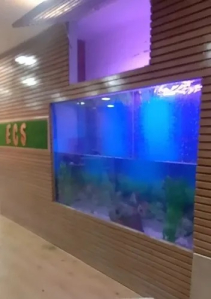 wall mounted aquarium