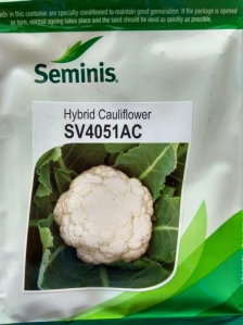 Cauliflower Seeds