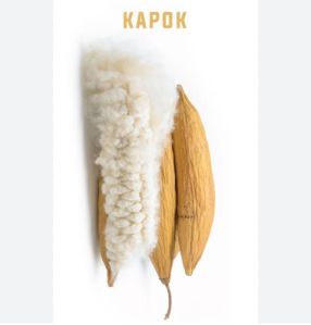 Kapok Cotton