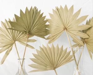 dried palm leaves