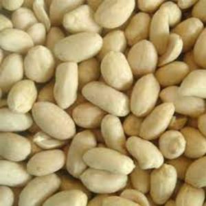 white bold groundnut