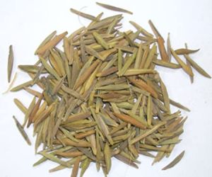 karva indrajau seed