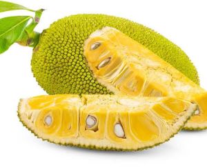 Jackfruit