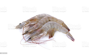 vannamei prawns