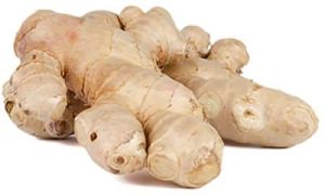 Organic Ginger