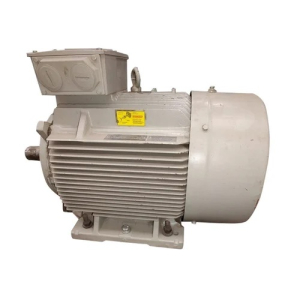 Electric LT Motor