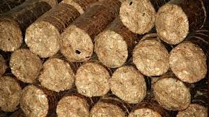 Biomass Briquettes