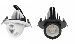 Zoom COB Downlight