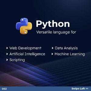 Python Programming Training Course