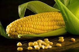 Sweet Corns