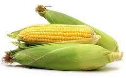 sweet maize