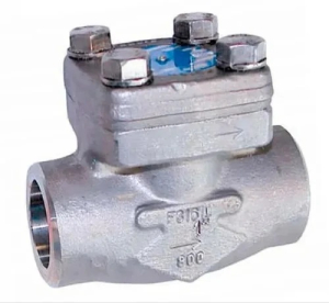 Ss Non Return Valve