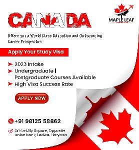 Canada visa consultant