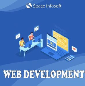 Website Development Services