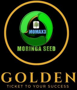 Momax3 Moringa Perennial Seed