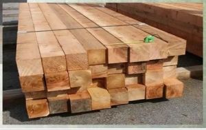 western red cedar wood