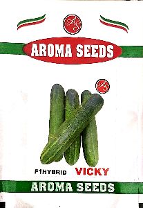 Hybrid Coriander Seeds