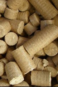 Biomass Briquettes