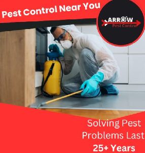 termite control services