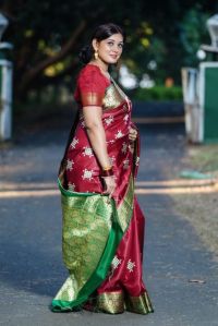 Soft Banarasi Silk Sarees