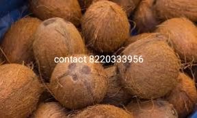 Coconut