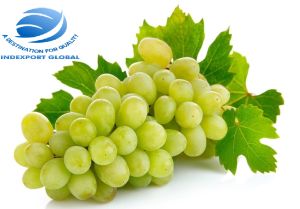 Grapes