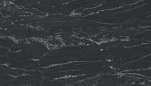 Forest Black Granite