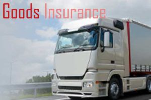 Goods Insurance Service