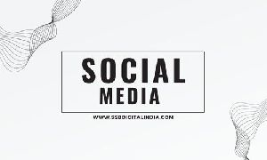 Social Media Optimization