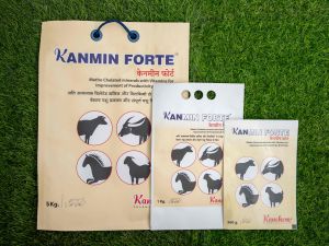 kanmin forte veterinary drugs