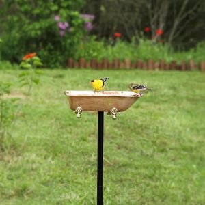 birdbaths