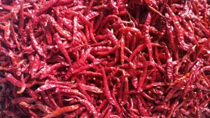 Dried Red Chili