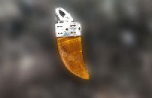 Tiger eye stone pendant