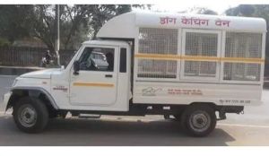 Animal Catcher Vehicle