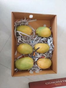 12 Pieces Alphonso Mango Packing Box