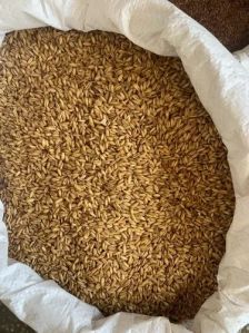 whole grain oats