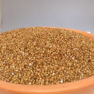 Unpolished Kodo Millet Rice