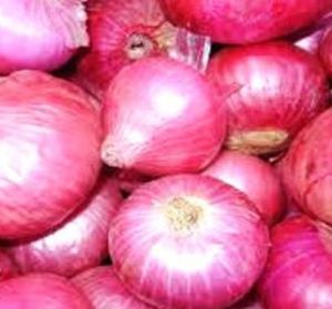 Fresh Red Onion