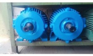 Crompton Induction Motor