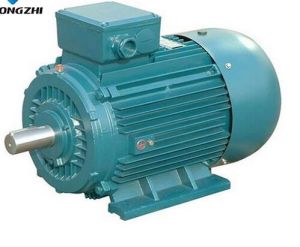 Electric Ac Motor