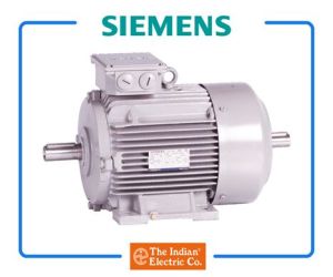 Siemens Crane Duty Squirrel Cage Motor