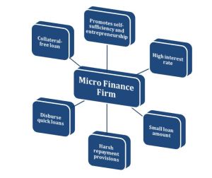 microfinance services