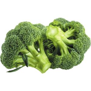 Wholesale Natural Fresh Origin Broccoli Vegetable Fresh Broccoli