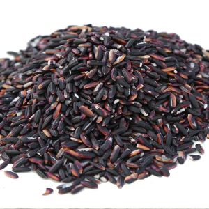 Black Rice