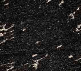 Fish Black Granite Marble