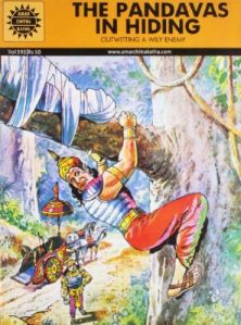 The Pandavas in Hiding Book