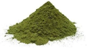 Kasuri Methi Powder