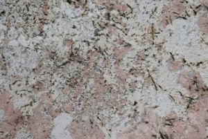 Alaska Granite Slabs