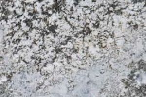 Silver Foil Granite Slabs